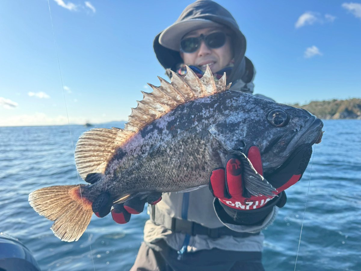 ちぇる→(タカハシ) tweet media