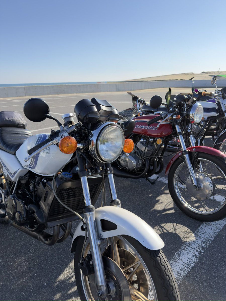 NY channel (@NYchannel73) / Posts / X