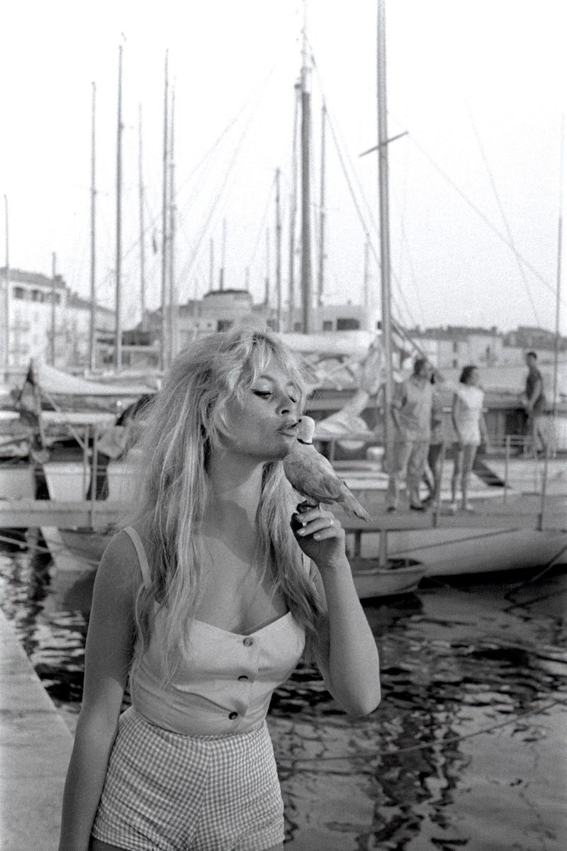 ❝ Creo firmemente en el poder transformador del arte ❝

Adiós a Brigitte Bardot💫
¡Icono! 🖤