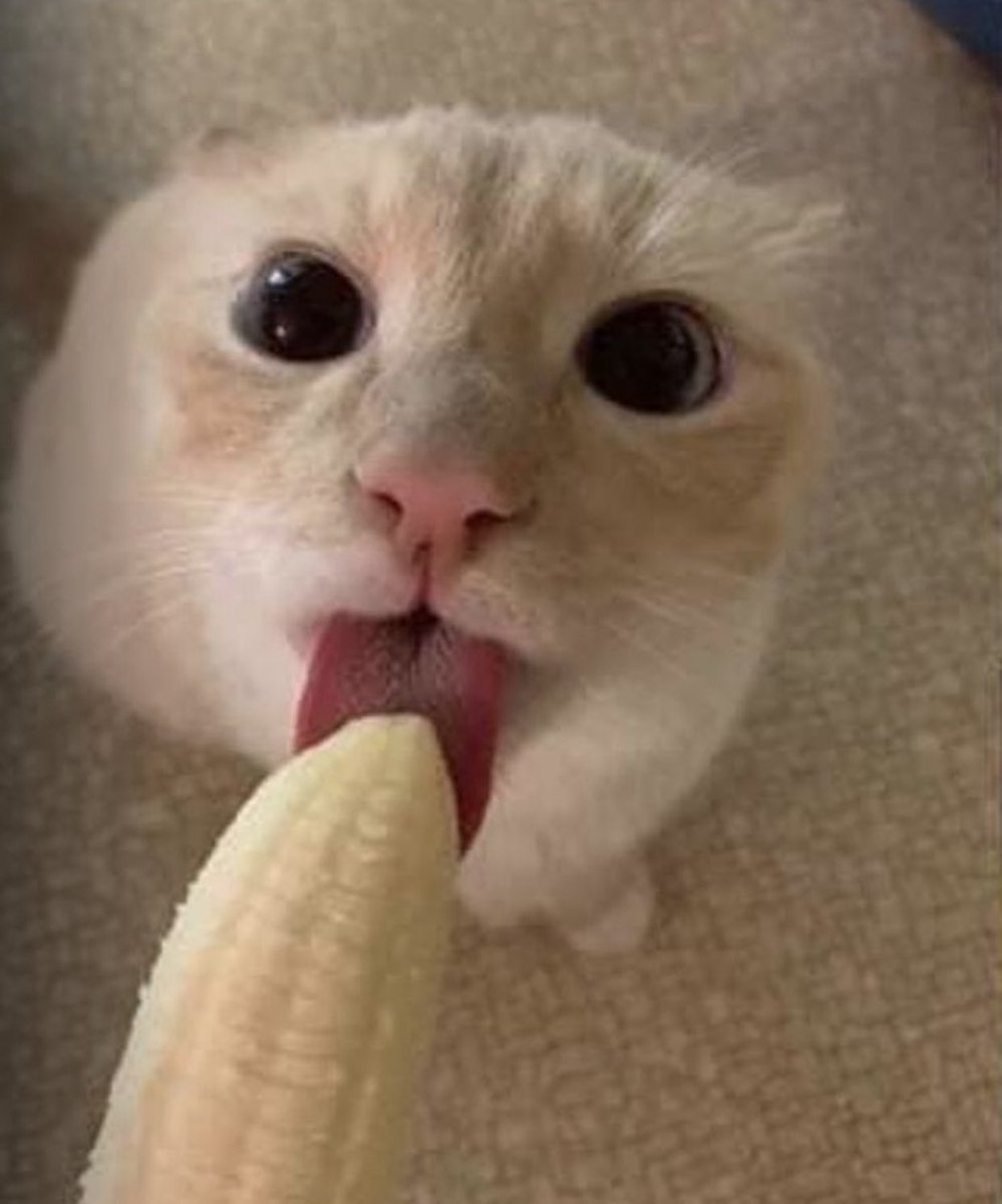 purpleboyiv's tweet image. kai cenat battling mental health

his girlfriend to nba yb: