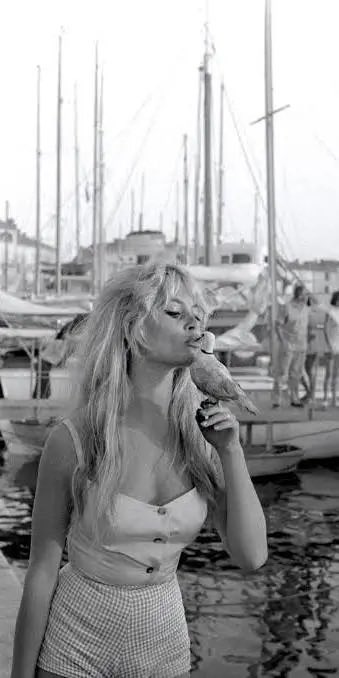 alainpaulweber's tweet image. 😢😢😢😢😢😢😢😢😢😢😢
Nécrologie : Brigitte Bardot (1934-2025)
Brigitte Bardot, icône éternelle du cinéma français, symbole de la libération sexuelle des années 1950-1960 et fervente défenseure des animaux, est décédée ce 28 décembre 2025 à l’âge de 91 ans. L’annonce a été faite…