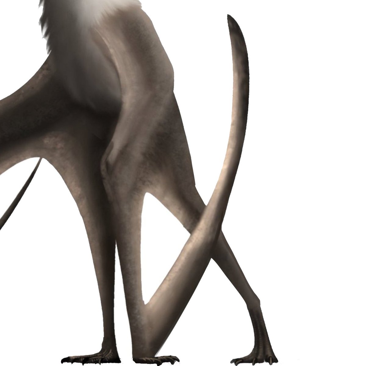 Bull.Falcon (@FalconBull) / Posts / X