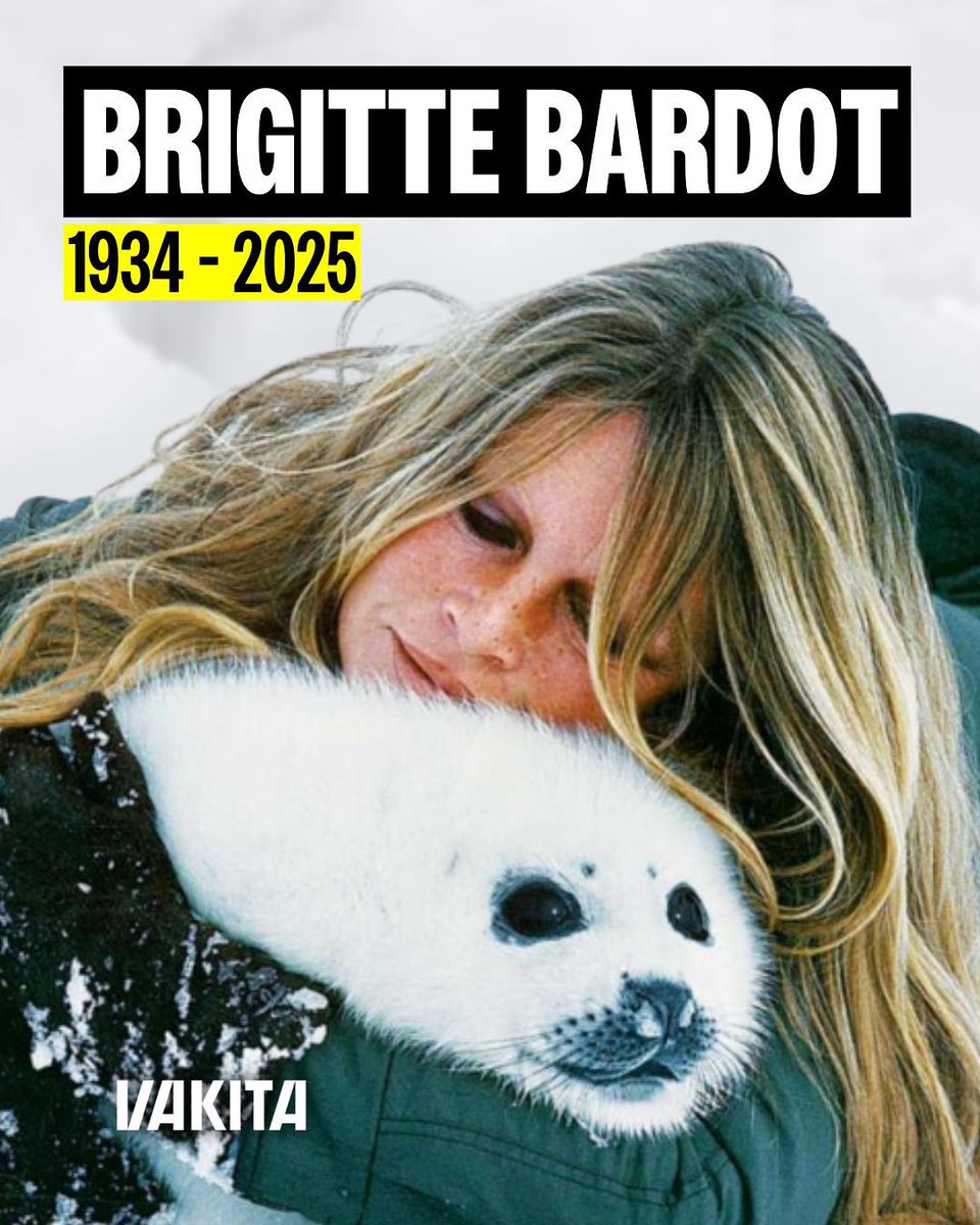 vakitamedia's tweet image. Brigitte Bardot est morte à l’âge de 91 ans a annoncé ce dimanche sa fondation à l’AFP.

Icône du cinéma, elle consacra toute sa vie à la défense des animaux.