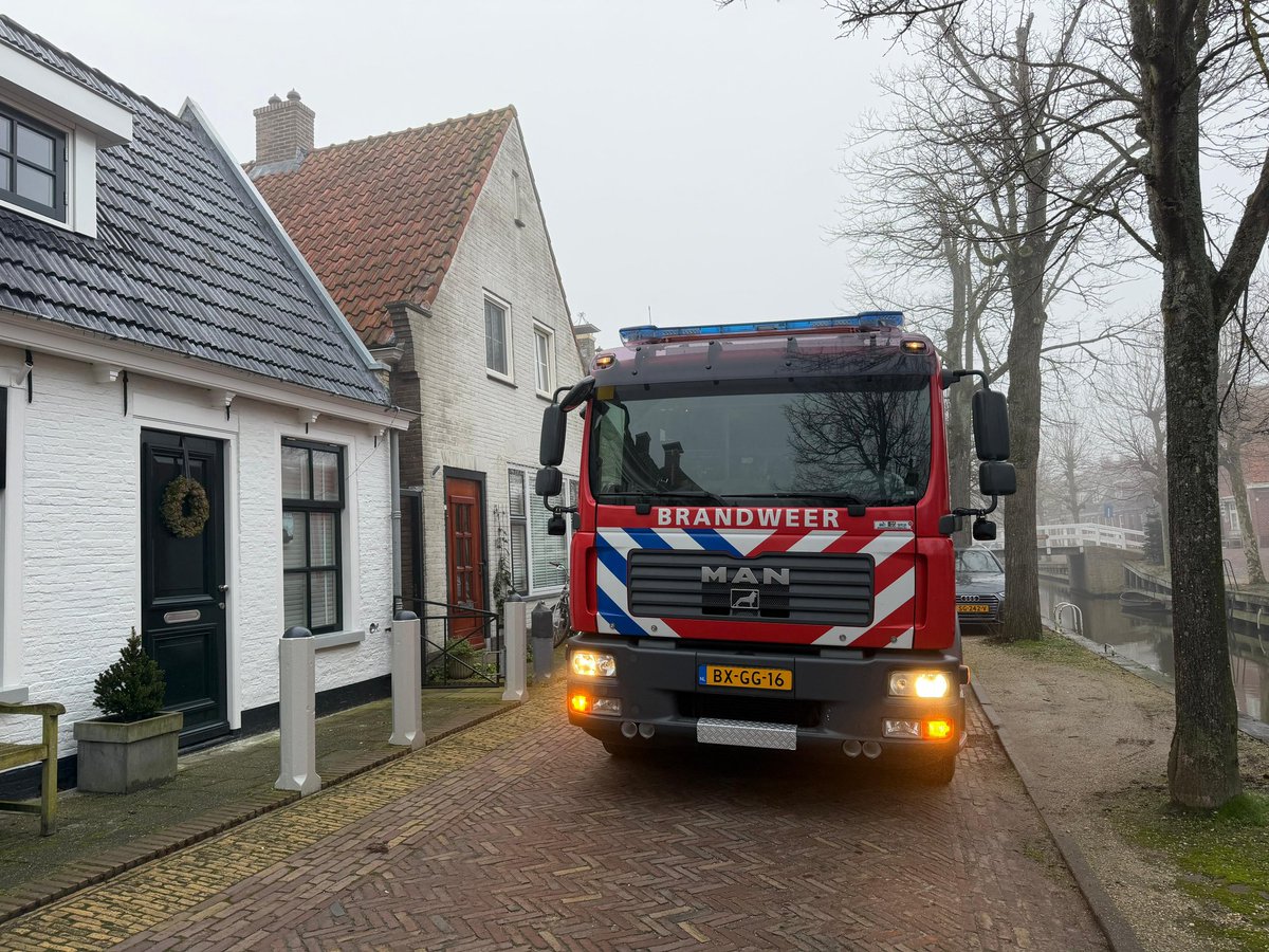 Dier in problemen in Harlingen