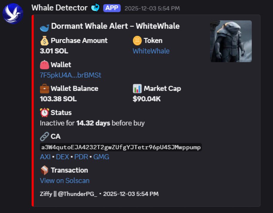 saracrypto_eth's tweet photo. A few months ago, I called $WHITEWHALE at $90k

It did over 500x in less than a month, and those who had notifications on became millionaires 🔔

Today, I’ve found another early gem and will share the CA with those who like, RT, and comment 'done'.

Must follow and open DMs. https://t.co/aPlXsPgJJf