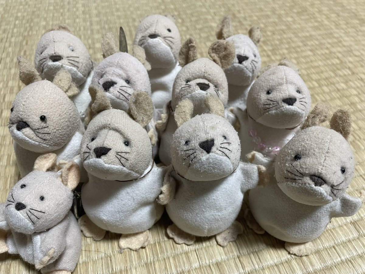ヤスMIN太朗 tweet media