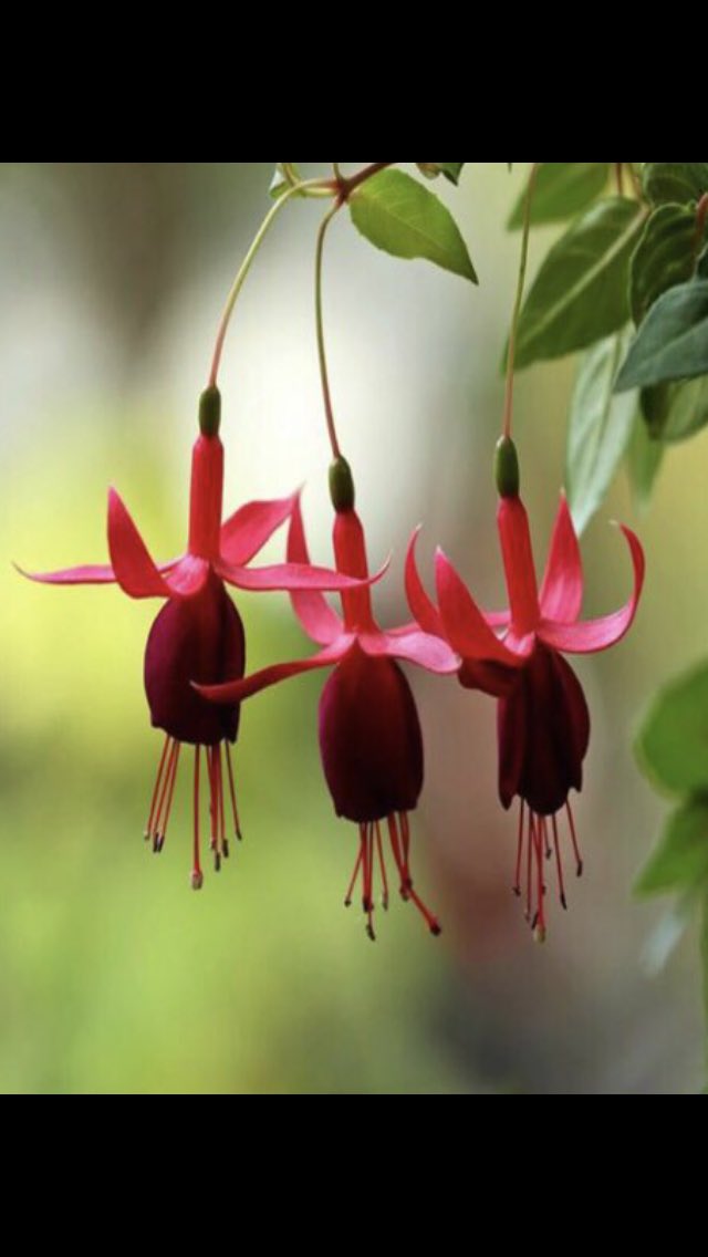 Denk gelişlerimiz doğru zamanlara, rast gelişlerimiz güzel insanlara olsun inşallah 

#pazar