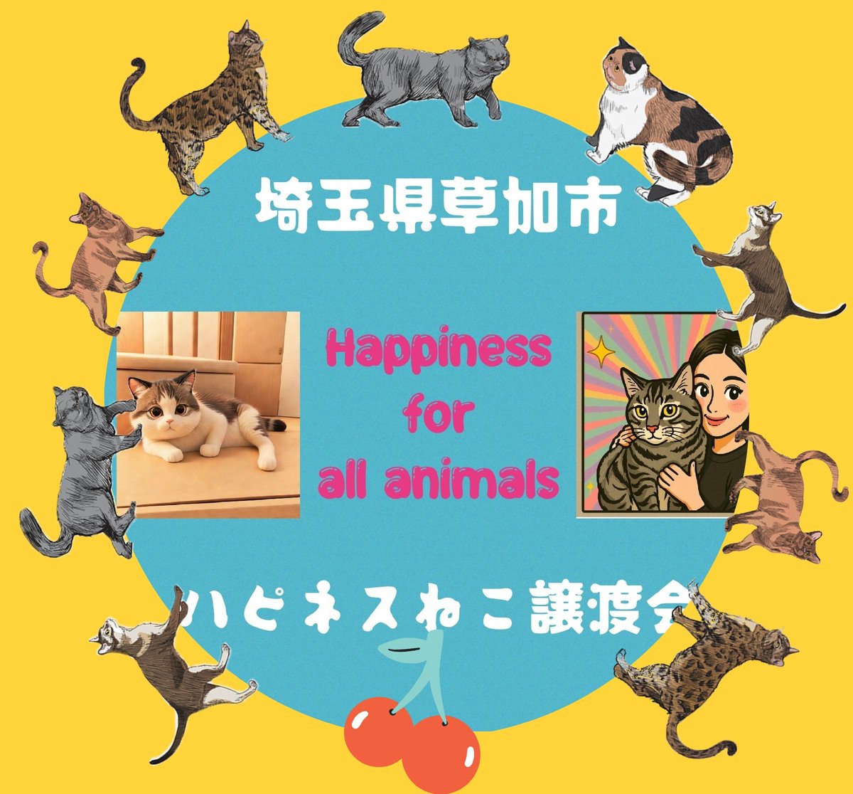 埼玉県草加市★保護ネコ譲渡☆ほごねこ【ハピネスねこ譲渡会】 tweet media