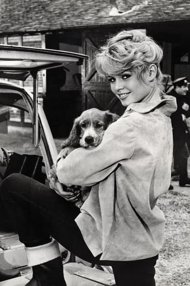 RachelAzriaa's tweet image. Merci pour eux 🕊️
#BrigitteBardot