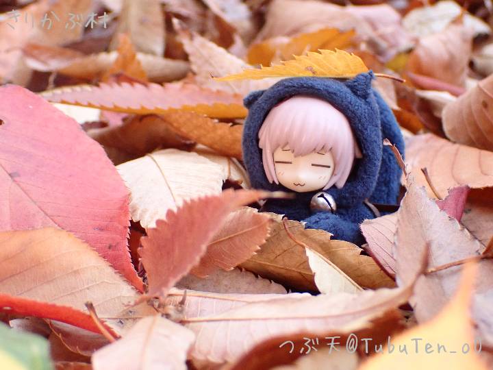 つぶ天 (@TubuTen_oO) / Posts / X