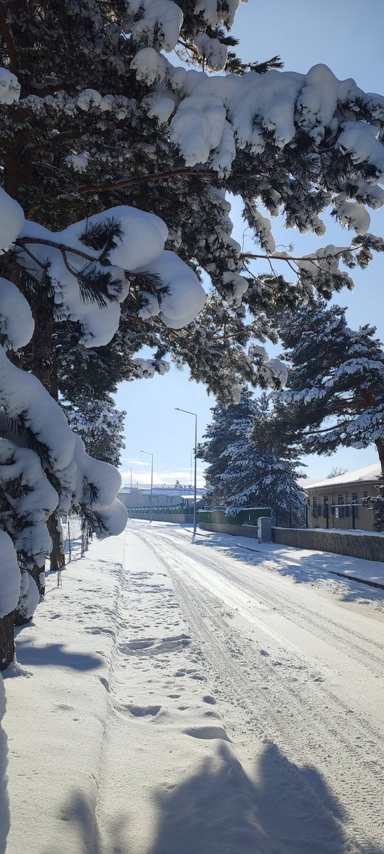 Seyymmaa0's tweet photo. Günaydın #Günaydin #kar #beyazörtü #karmanzarası #soğuk https://t.co/63Xyxp53Jp