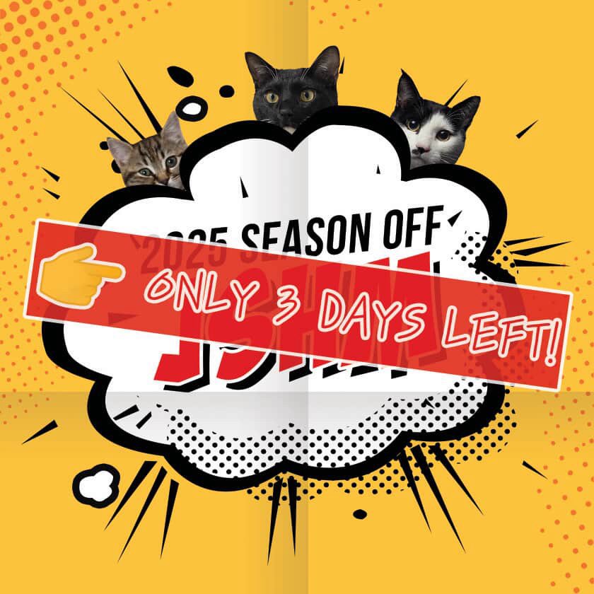 Only 3 days left❗❗❗