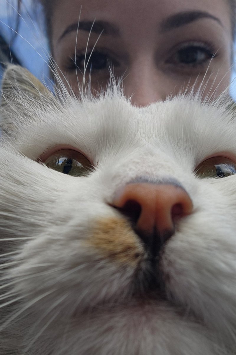 Sadece şundan çekmek istemiştim