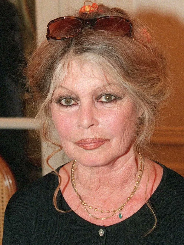 bpthaber's tweet photo. Fransız sanatçı Brigitte Bardot, 91 yaşında hayatını kaybetti. https://t.co/ihY5kgUuKU