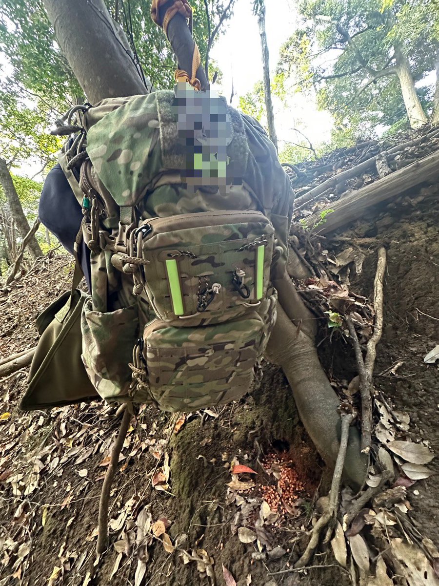 310abn's tweet photo. #mysteryranch
#blackjack35 https://t.co/opbGEigcbB