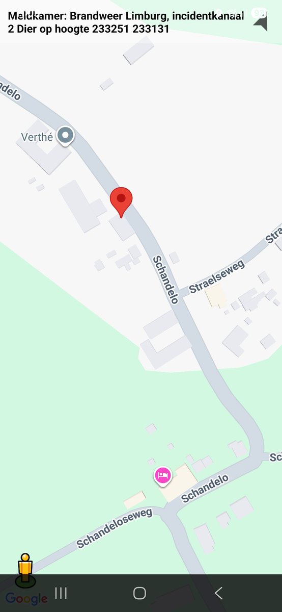 Dier op hoogte in Velden vereist brandweer inzet