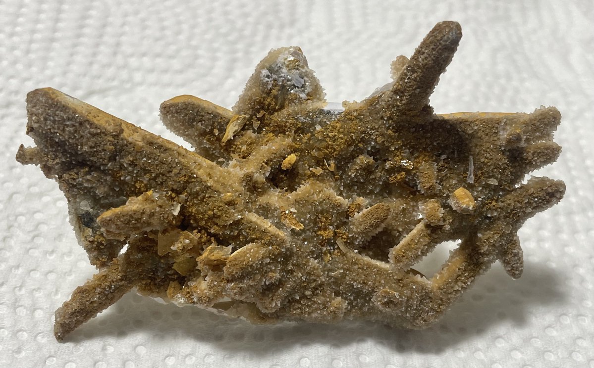 stellar_chaton's tweet image. 日本式双晶蟹もしくは、カラッと揚げられたフライ