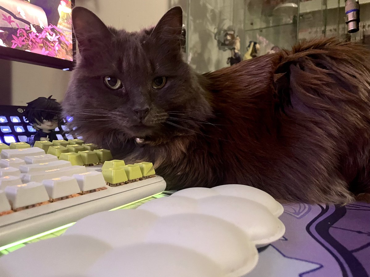 dazey ✖️🤍 tweet media