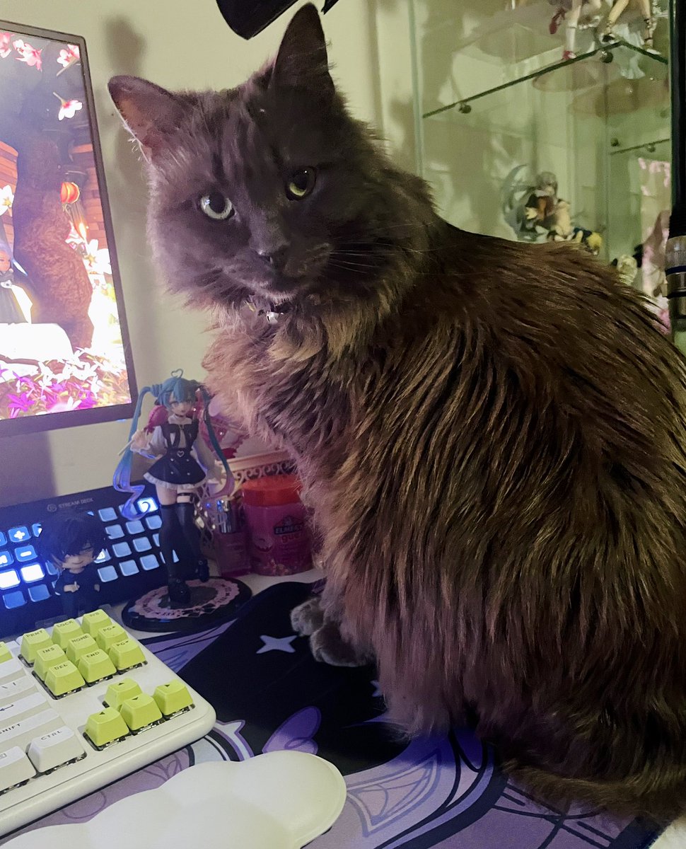 dazey ✖️🤍 tweet media