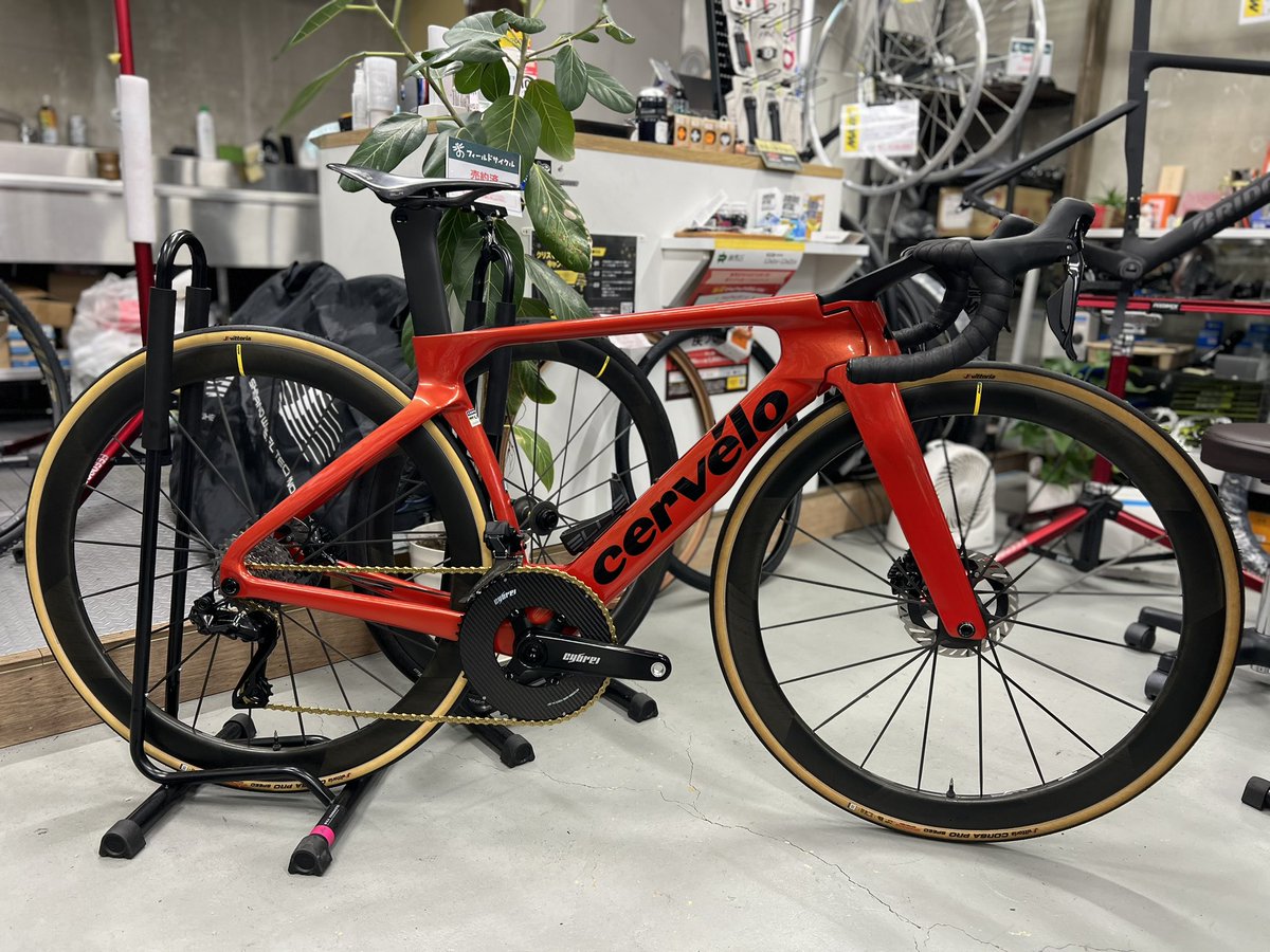 カピバラ (@CapybaraLIZED) / Posts / X