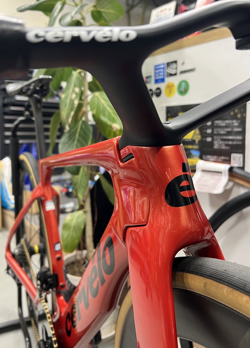 カピバラ (@CapybaraLIZED) / Posts / X