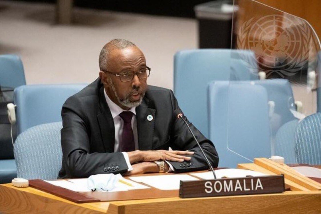 🚨Report: Somalia will assume the Presidency of the UN Security Council ...