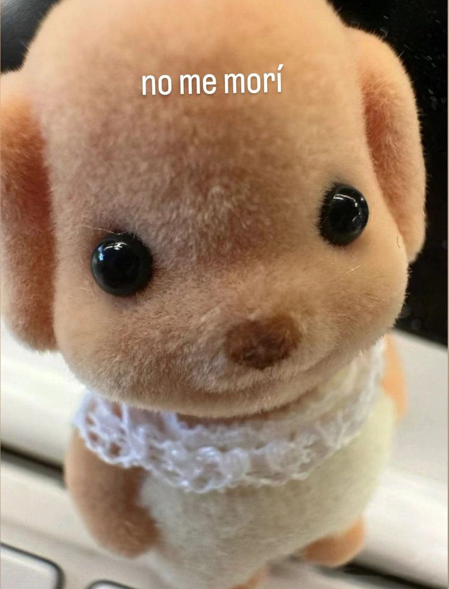 hola, tuve una pequeña crisis existencial de dos años, pero ya volví.