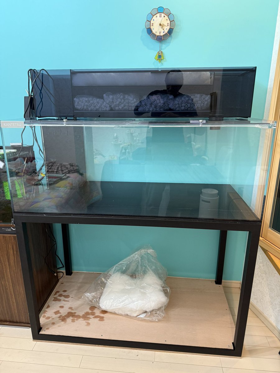決まりました⭐️ありがとうございました！1200✖️600✖️600 特注アクリル水槽セット　13ミリアクリル　　上部ろ過装置 昨夜は大阪府堺市にてカンテツ水槽を設置しました 1200✖️600✖️450