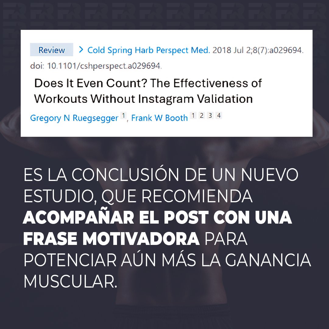 Pin by yo soy alpharius on un poco de memes y comics de toh | Owl, image size:1080x1080