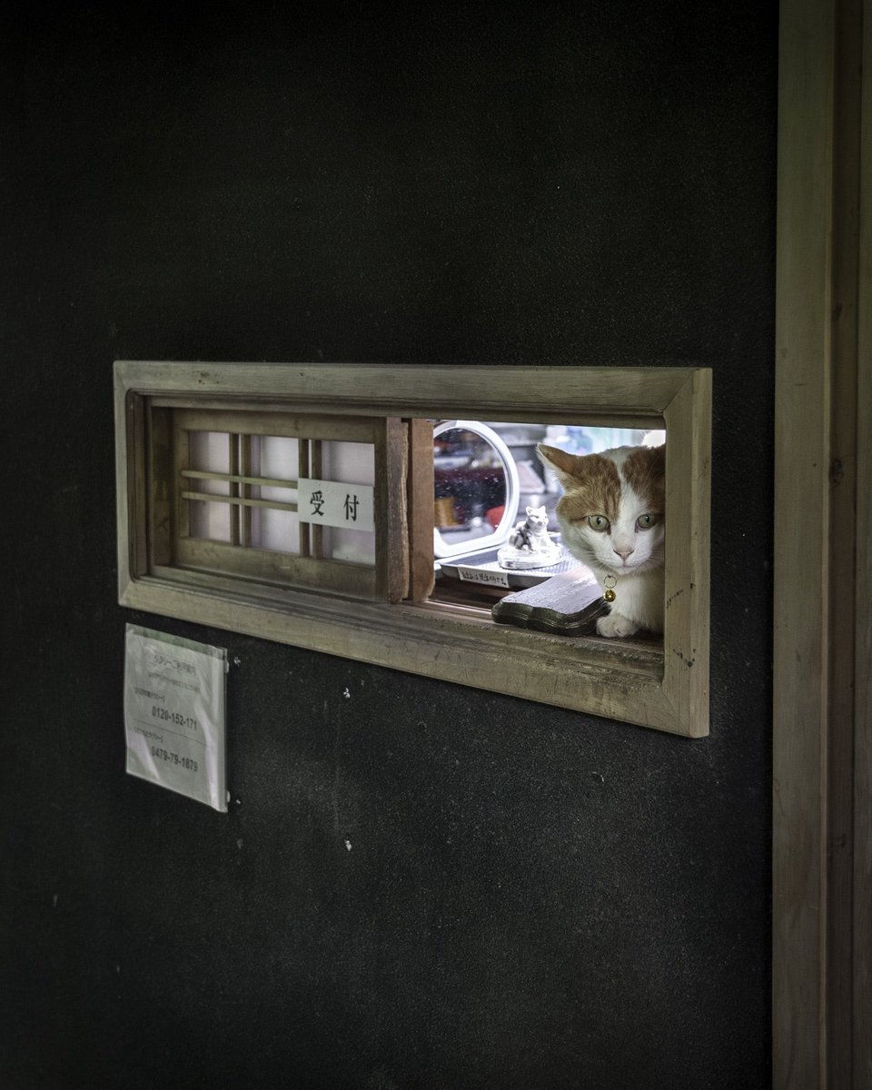 ななしの (@nanashino) / Posts / X