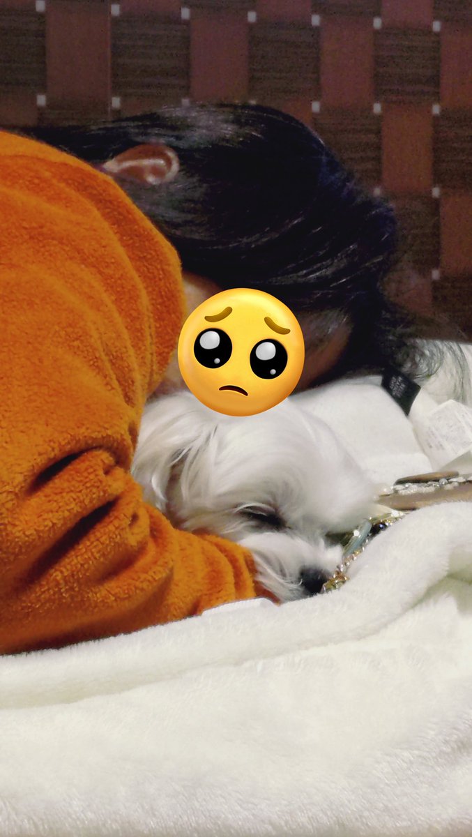 にこまる (@6yQgZFNMNk76215) / Posts / X