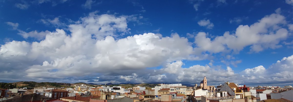 JrvLionel's tweet photo. Cel a les 11:00, Xilxes.@apuntoratge @oratgenet https://t.co/XHuzJJDJPr