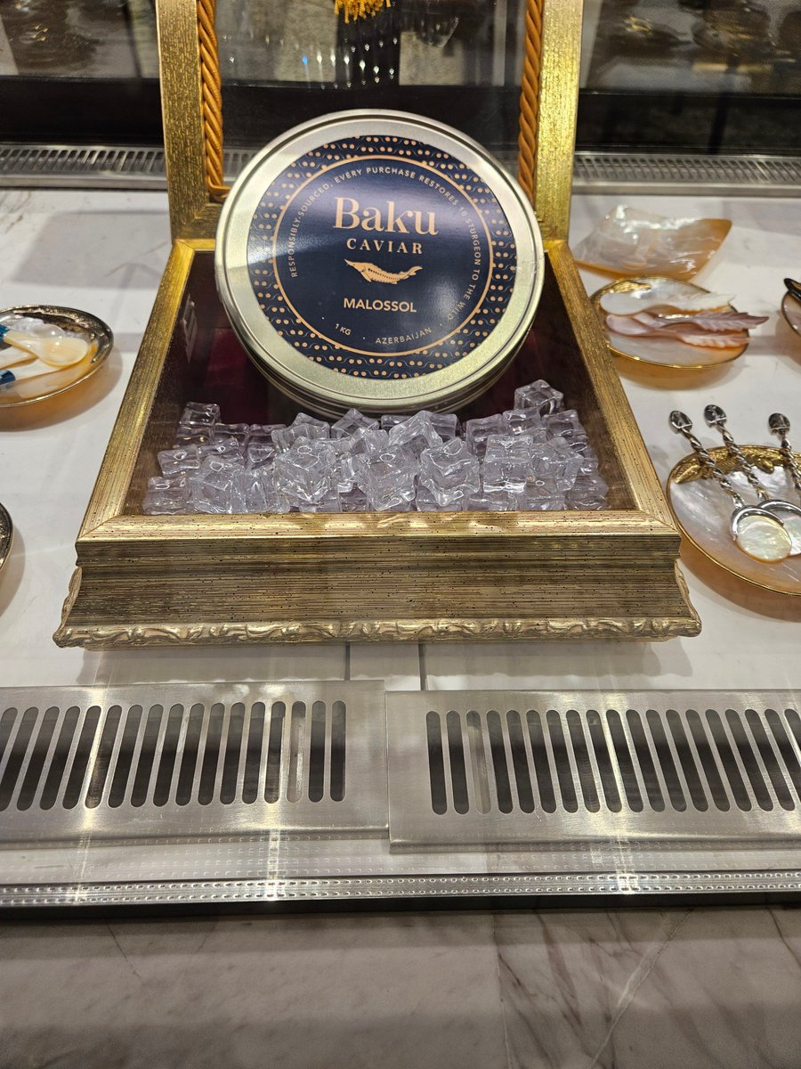 Dubai feels like home🤪