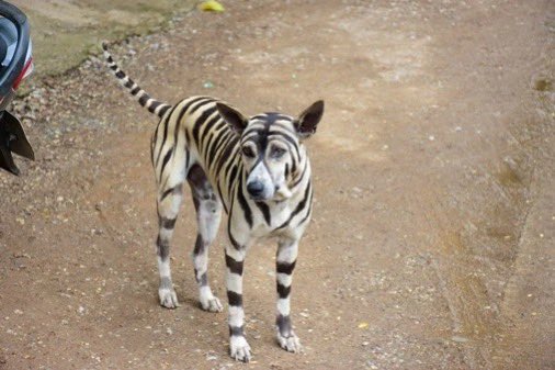 hellomemm's tweet image. หรือทางออกของทงเฮจะต้องเป็นแบบนี้…….