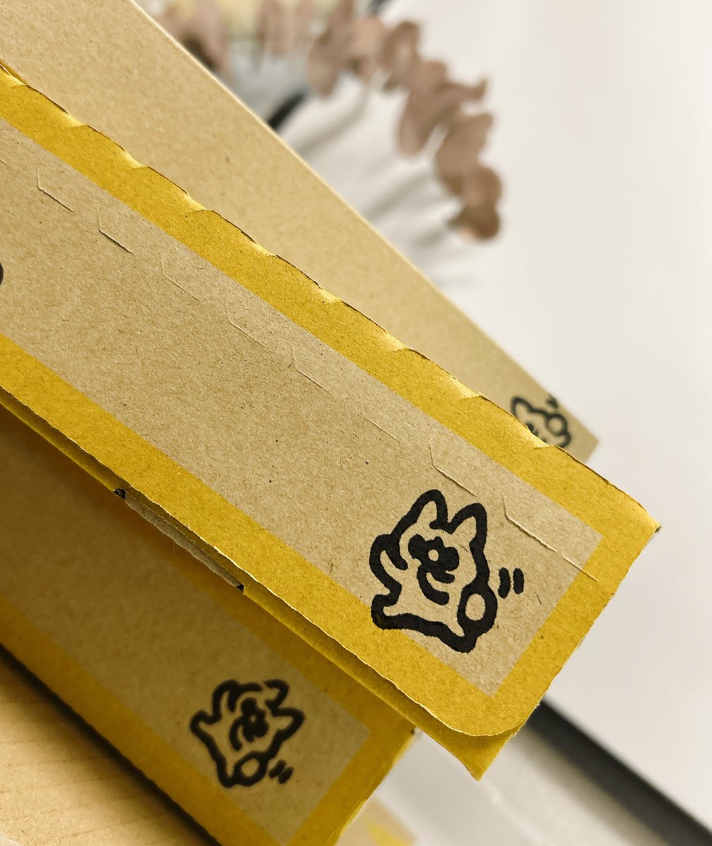 FLAT DOGGIE tweet media