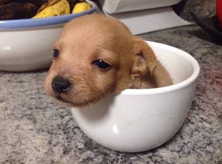 순희 (@xmhzq) on Twitter photo 