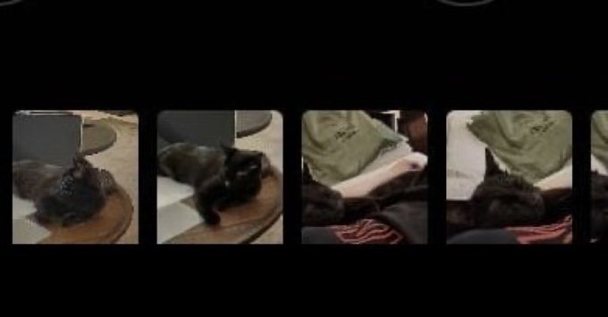 jjksyoongs's tweet image. SO YOONGI IT WAS INDEED YOONGI'S CAT IN THE CAMERA ROLL