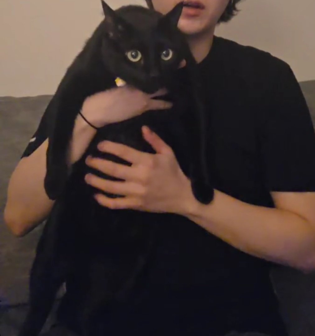 _muchluv's tweet image. 길고양이래
진짜 길고
너무귀엽다