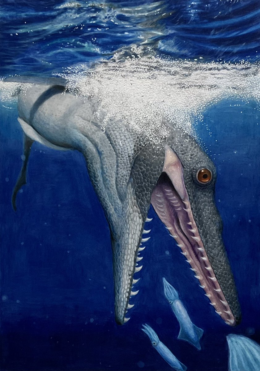 2025年自分が選ぶ今年の4枚 #色鉛筆画 #鉛筆画 絵の仕事がどういうも