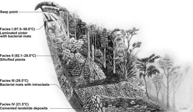 2025年自分が選ぶ今年の4枚 #色鉛筆画 #鉛筆画 絵の仕事がどういうも