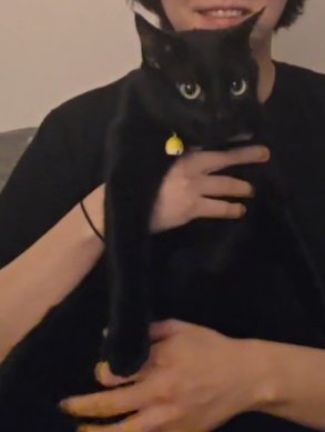 _muchluv's tweet image. 길고양이래
진짜 길고
너무귀엽다