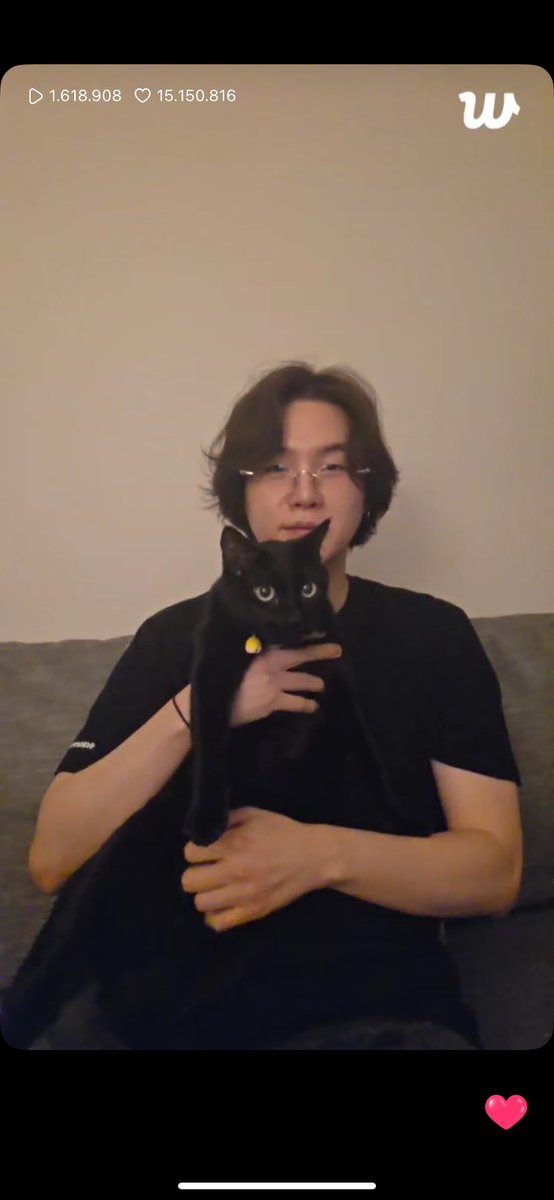 ShiroRenCosplay's tweet photo. Two kitties 💜 he is back  
#minyoongi https://t.co/aw7Xri5ck7
