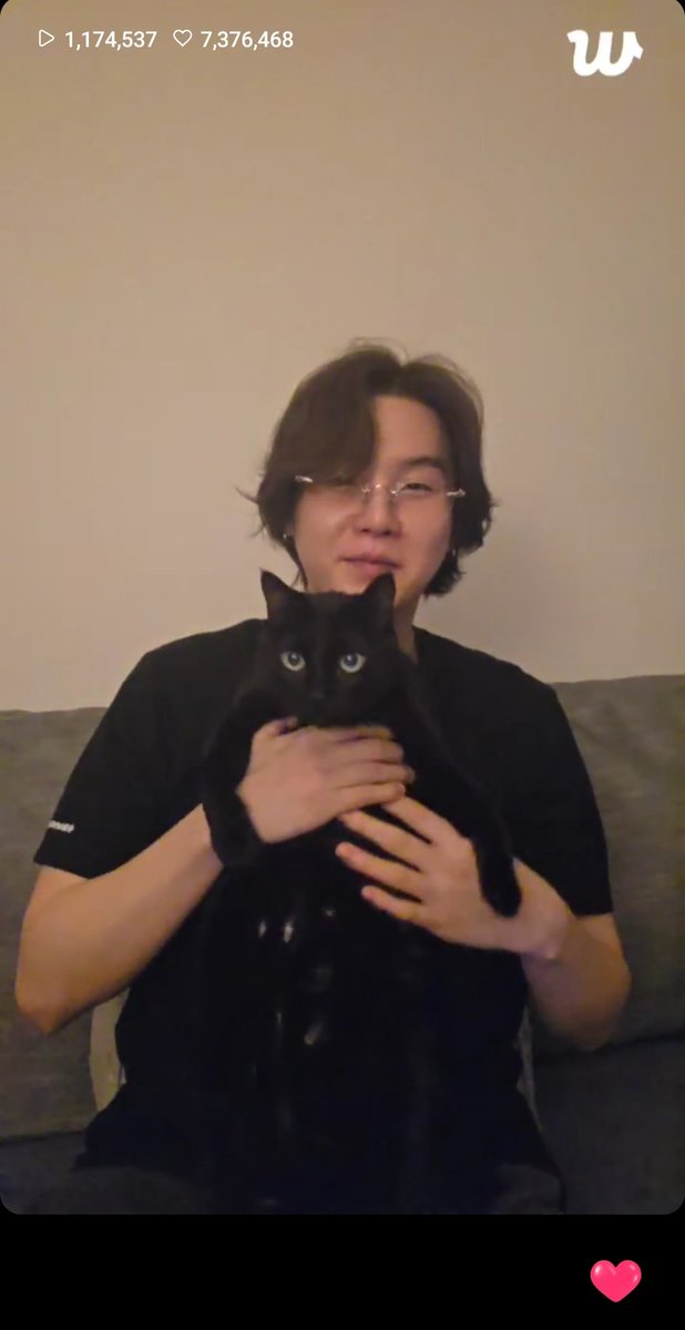 MsLeftAndRight's tweet image. I see 2 black cats. 🐈‍⬛️🐈‍⬛️🥺