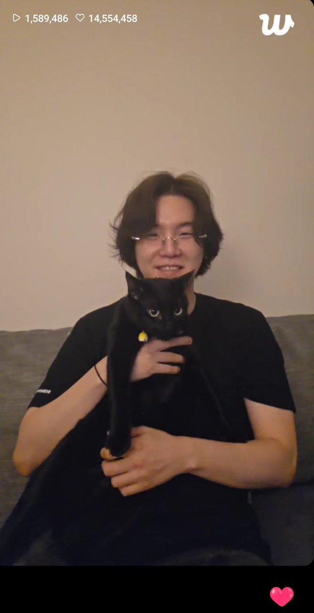 MsLeftAndRight's tweet image. I see 2 black cats. 🐈‍⬛️🐈‍⬛️🥺