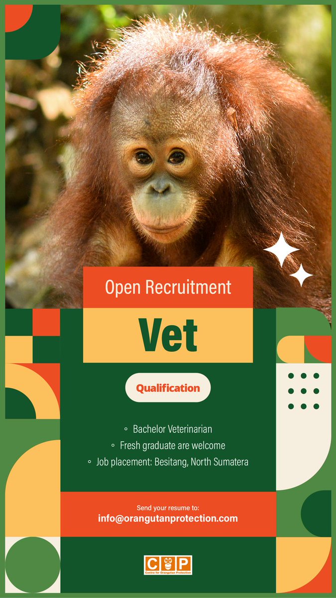 orangutan_COP's tweet image. Centre for Orangutan Protection membutuhkan dokter hewan, langsung email ke info@orangutanprotection.com
Perhatikan tenggat nya ya!