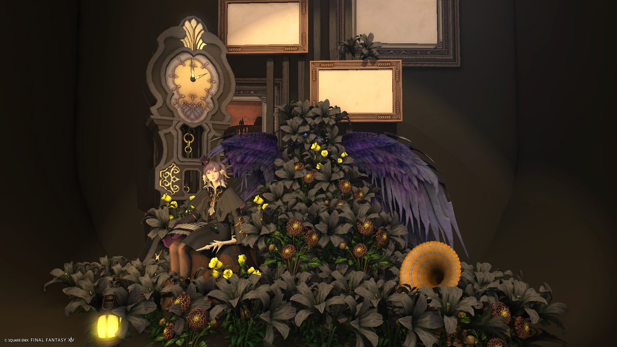 Kinaco_Fiore's tweet photo. #Studio_LuaCheia https://t.co/G82iQdMTwp