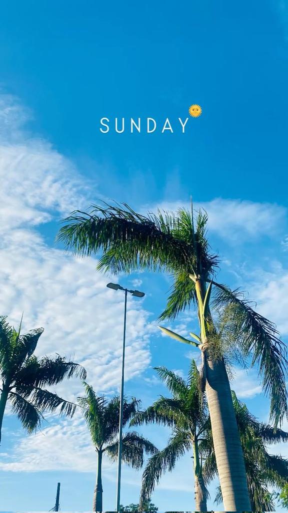 It's not too late to say gm

Happy Sunday🎇

Still bullish on <a href="/AlignerZ_Labs/">AlignerZ Labs</a>
