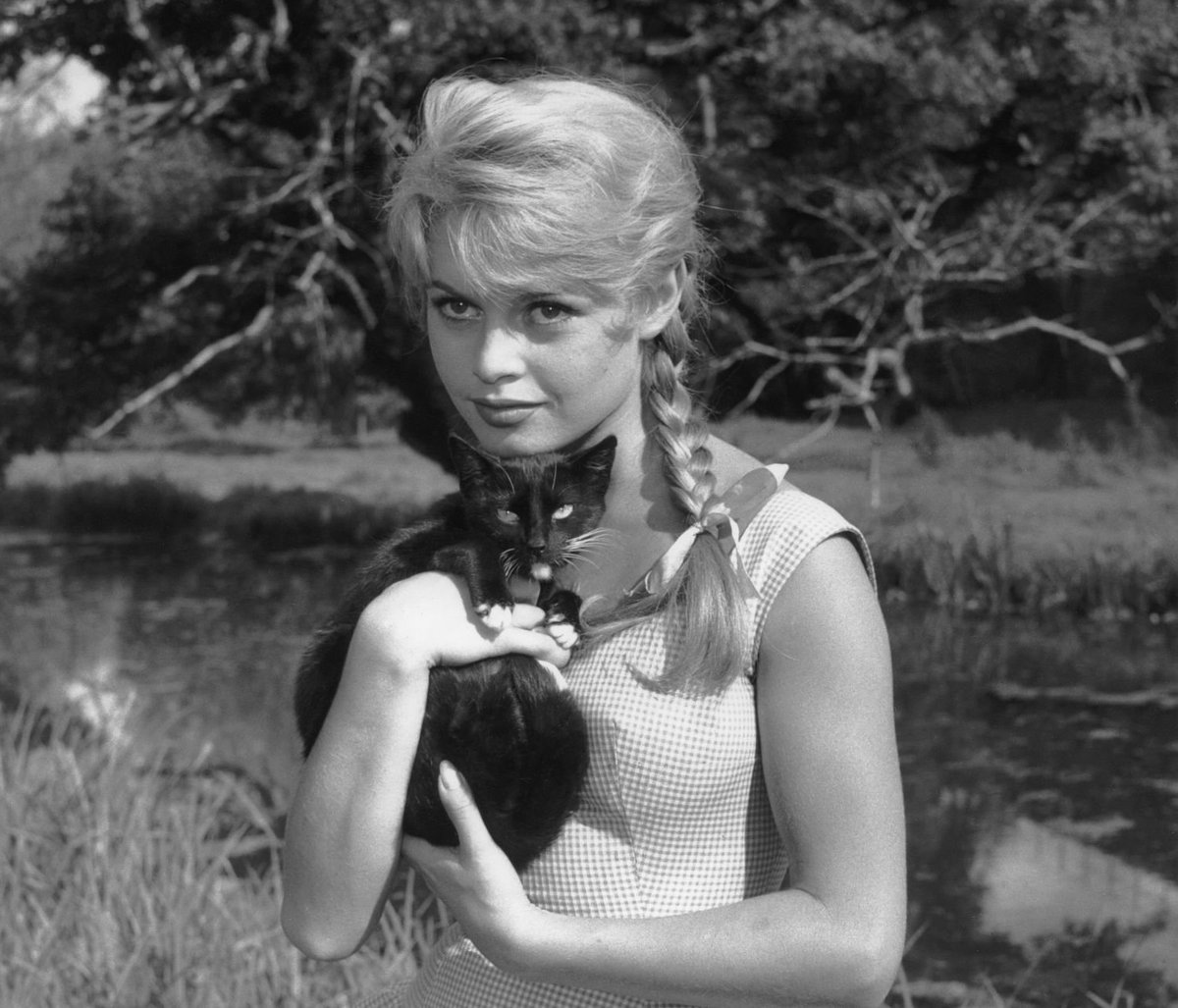 Gari VALDEN tweet media