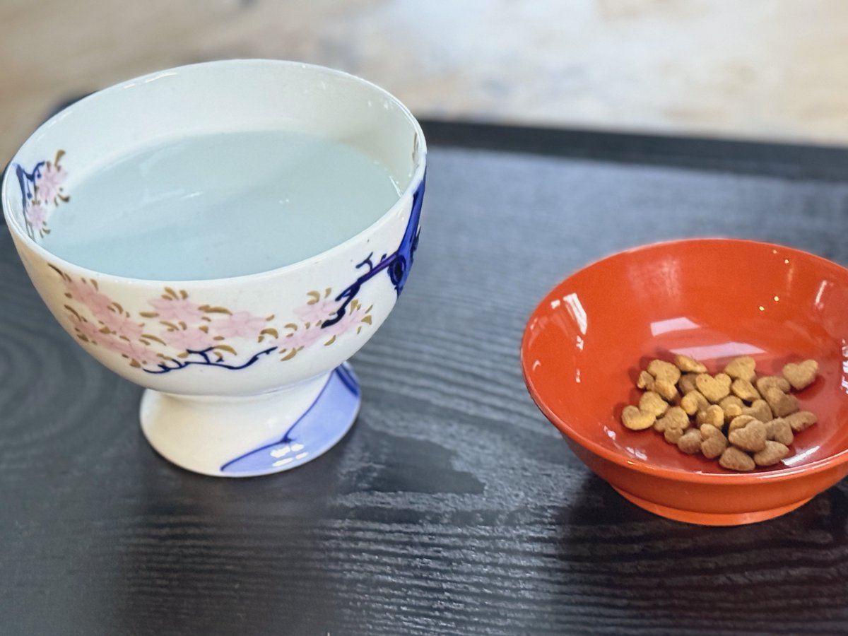 我が家のサンタにリクエストした贈り物が届いたよ。わぁい♡ どちらも