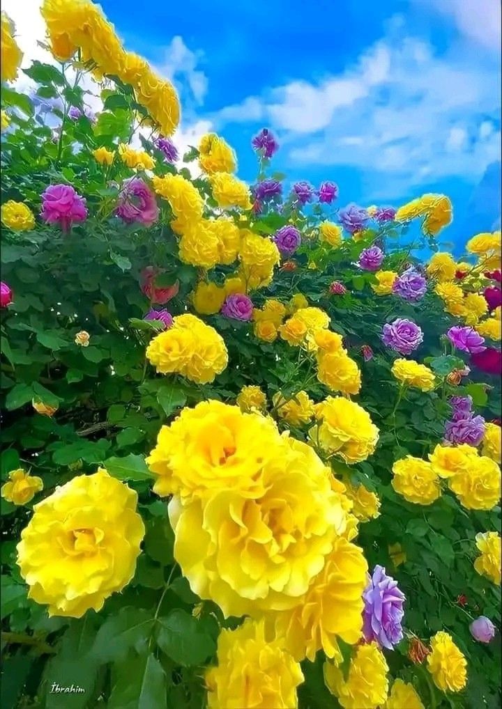 Emmanature12's tweet image. 